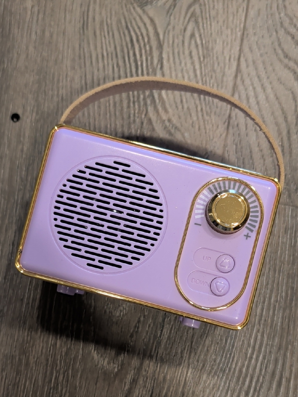 Portable Bluetooth Speaker in Lavender with Gold Accents - Compact Retro Design
